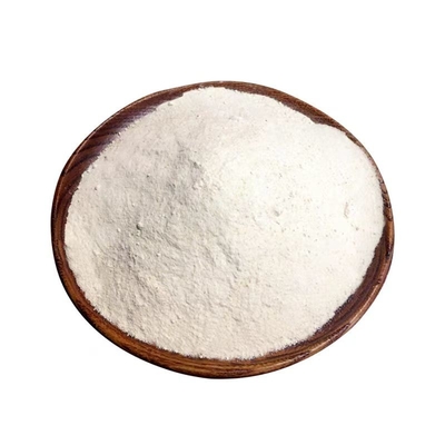 Garlic Seasoning Powder Transform Ordinary Products into Extraordinary Ones
