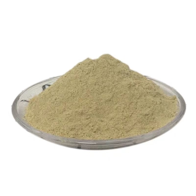 Grill Seasoning Powder for Deliciously Seasoned Meats