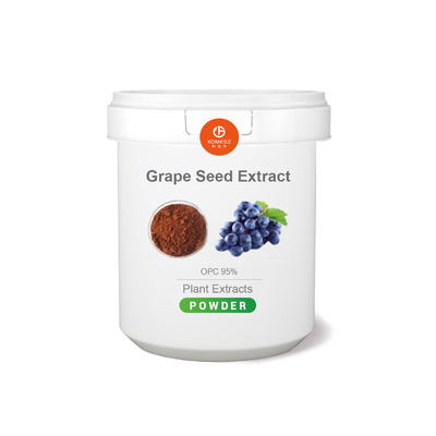 Grape Seed Extract 95% OPC 100% Natural Plant Herbal Extract Powder Vitis Vinifera Food Additive Antioxidant Proanthocyanidins