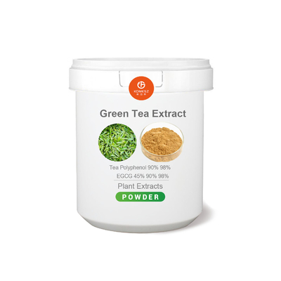 Factory Supply EGCG Green Tea Extract With 98 Polyphenols