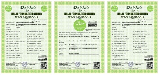 Flaming Hot Flavor Seasoning Heat-Stable Food Grade Spice for Snack & Meat Products